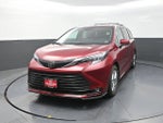2026 Toyota Sienna XLE 7 Passenger
