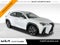 2019 Lexus UX 200 F SPORT