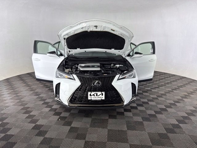 2019 Lexus UX 200 F SPORT