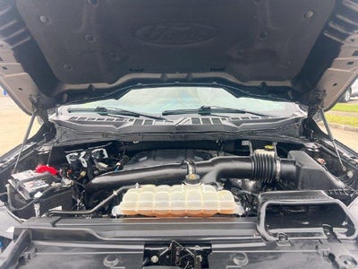 2021 Ford F-150 XLT 4WD SuperCrew 5.5' Box