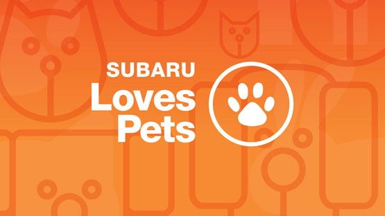 Subaru of Columbia in Columbia MO