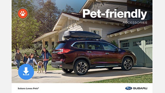 Subaru of Columbia in Columbia MO